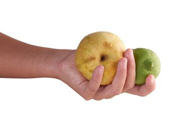 apple and lemon in hand children hand