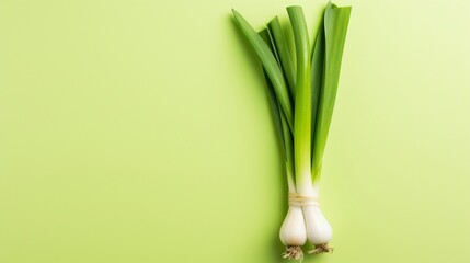 healthy Leek on isolated Green and White