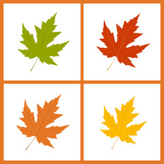 Set of vector leaves. Maple leaves. Flat design. Isolated on a white background.
