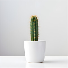 A Cactus in a white pot with a white background. A minimalist potted plant concept. Generative ai. 