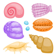 Set of various shells in cartoon style vector