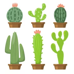 Poster Kaktus im Topf Set of different green cactus in pot drawing on white background