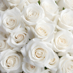 Close up of a white Rose background. Generative ai. 