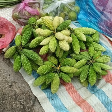 Melone amaro in Vietnam in un mercato per strada.
