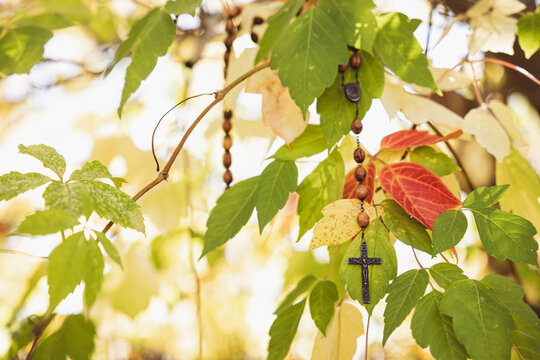Rosary hanging in branches of tree with autumn leaves