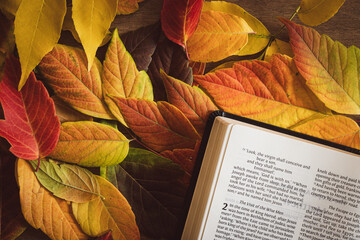 Open bible on a bed of autumn leaves with copy space