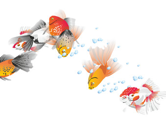 ryby woda akwarium morze © Marek