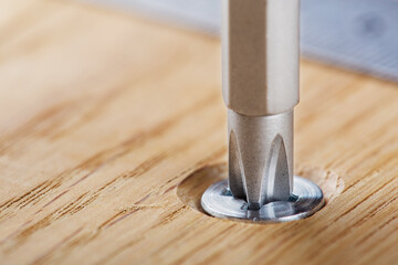 screwdriver screw in a wood oaks plank