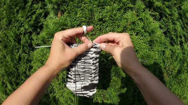 Hands of woman holding wires and hand knitting from black and white melange cotton yarn on sunny weather against of thuja green - real time, panorama 160. Topics: hobbies, art, handicrafts, free time