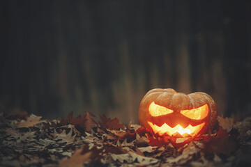 Spooky glowing Jack o lantern on autumn leaves in moody dark forest. Happy Halloween! Scary...