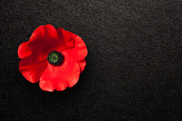 Poppy flower on black textured background with place for your text. Decorative flower for Remembrance Day. Memorial Day. Veterans day.