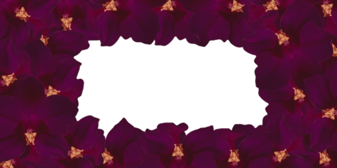 Floral boarder frame isolated on transparent background