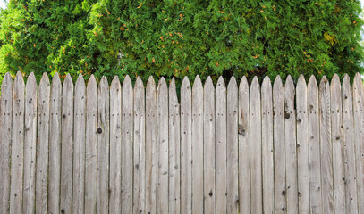 Fototapeta premium wooden fence basks in warm spring sunlight, evoking feelings of renewal, nostalgia, and the passage of time in a serene countryside setting