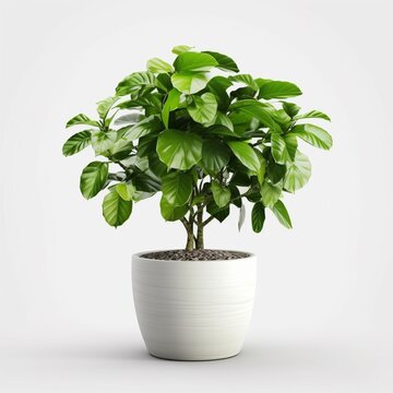 Beautiful indoor potted plants green leaf picture white background AI Generated Art