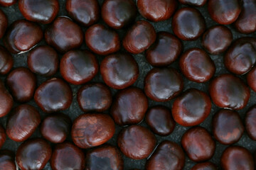 Background of red-brown chestnut fruits laid out on the asphalt