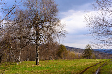 South Ural forest road with a unique landscape, vegetation and diversity of nature.