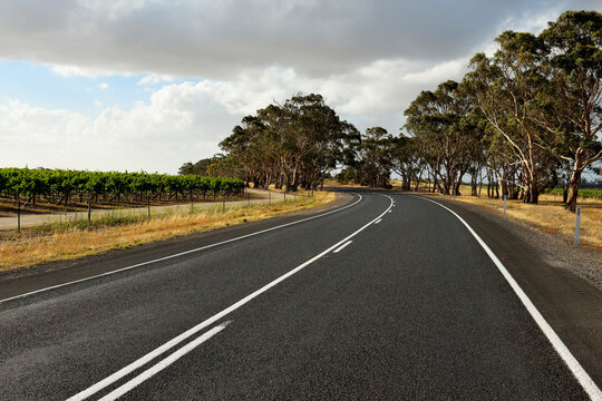 Country Road in Summer, Padthaway, Riddoch Highway, South Australia, Australia