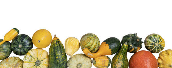 Some small pumpkins
