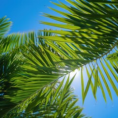 Vibrant green palm leaves against blue sky