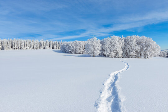Snow Covered Winter Landscape with Snowshoe Trail, Schauinsland, Black Forest, Freiburg im Breisgau, Baden-Wurttemberg, Germany