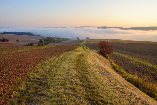 Countryside with path and morning mist over fields at Grossheubach in Bavaria, Germany