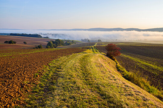 Countryside with pathway and morning mist over the fields in the community of Grossheubach in Bavaria, Germany