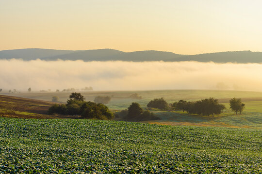 Countryside with morning mist over the fields in the community of Grossheubach in Bavaria, Germany