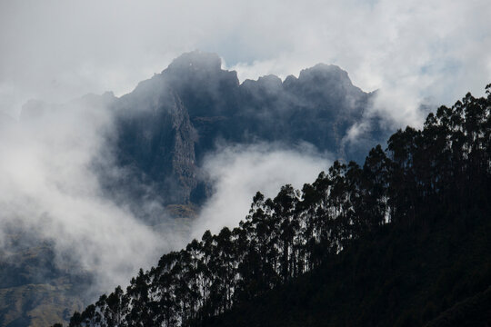 Clouds shroud the rugged mountains with silhouetted trees lining the mountainside in the foreground, viewed from the Sacred Valley of the Incas, north of Cuzco; Peru