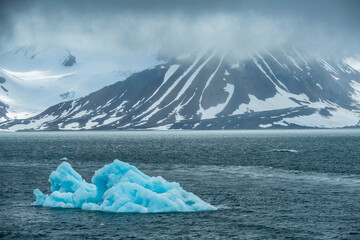 Drift ice in the Hornsund fjord; Spitsbergen, Svalbard, Norway