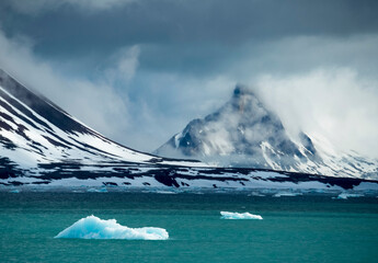 Drift ice in the Hornsund fjord; Spitsbergen, Svalbard, Norway