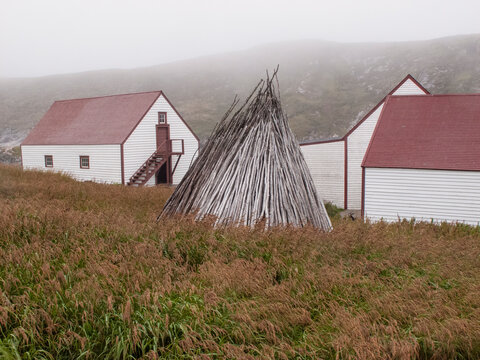 Stack of drying wood in front of buildings in the fishing outpost of Battle Harbour in Atlantic Canada; Battle Harbour, Newfoundland and Labrador, Canada