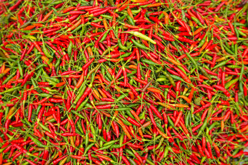 Abundance of red and green peppers on display for sale in a street market in Luang Pragang; Luang Prabang, Laos