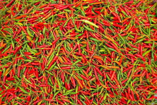 Abundance of red and green peppers on display for sale in a street market in Luang Pragang; Luang Prabang, Laos