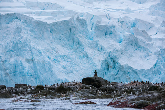 Chinstrap penguin colony (Pygoscelis antarctica) and bust of Luis Pardo at Point Wild on Elephant Island; Antarctica