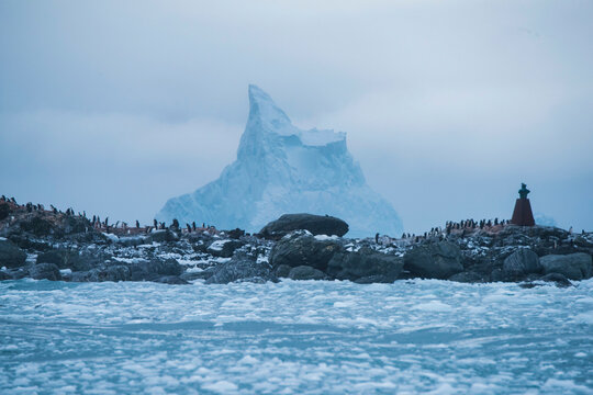 Chinstrap penguin colony (Pygoscelis antarctica) and bust of Luis Pardo at Point Wild on Elephant Island; Antarctica