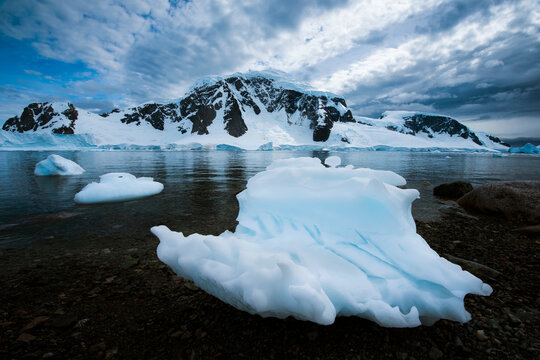 Ice, snow and land of the Antarctic peninsula at Danco Island; Danco Island, Antarctica