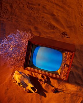 Old Tv Set On Sand With Skull Dry Bush And Snakes