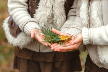 Twin girls show the leaves of different plants they collected in the autumn park.