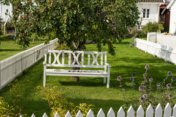 Whiyte park bench under an apple tree in a garden. - obrazy, fototapety, plakaty