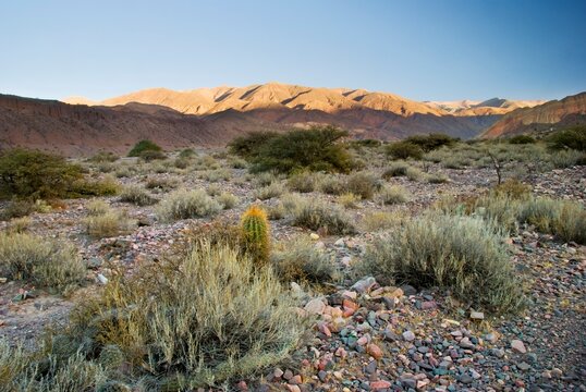 Sunrise Over The Hills Of The Quebrada De Humahuaca; Tilcara, Jujuy, Argentina