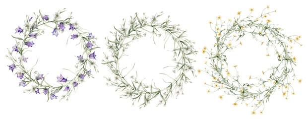 Set of meadow wreath of yellow, white, violet flower. Clipart blue bellflower, stellaria holostea, buttercup. Watercolor hand drawing illustration on isolate white background. For design of product © Ekatmart
