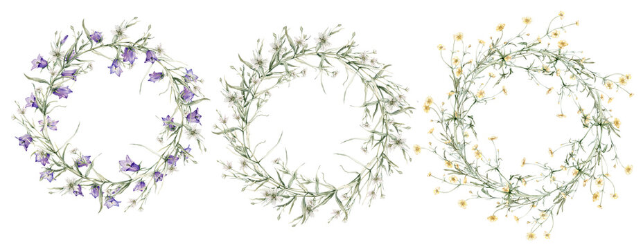 Set of meadow wreath of yellow, white, violet flower. Clipart blue bellflower, stellaria holostea, buttercup. Watercolor hand drawing illustration on isolate white background. For design of product
