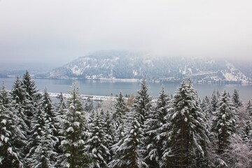 First Winter Snow In Columbia River Gorge National Scenic Area; Oregon, United States Of America