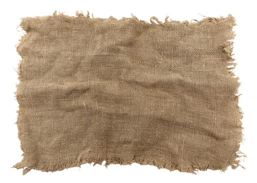 Burlap texture. A piece of torn burlap on a white background. Canvas. Packing material