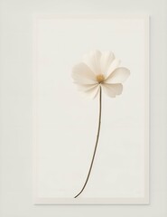 minimalist flowers with cream color background illustration