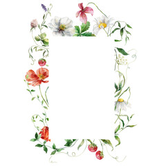 Fototapeta premium Watercolor meadow flowers frame of poppies, chamomiles and cornflowers. Hand painted floral illustration isolated on white background. For design, print, fabric or background.