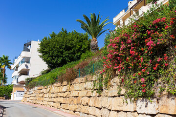 Beautiful and colorful sunny Spanish vegetation and architecture in Mijas, Andalusia, Spain