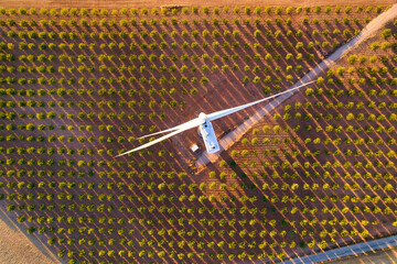 Aerial top view of a wind turbine over an almond agricultural field at sunset. Close-up to a Windmill in Wind turbines Farm. Wind farm in the Largest Wind Power Project in Spain, Wind Energy
