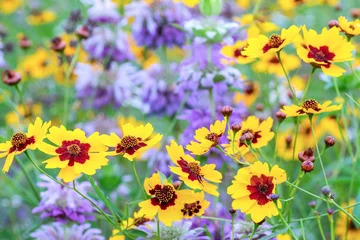 Tuinposter Texas Spring Wildflowers © Kanokwalee
