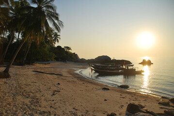 árbol, de invierno, naturaleza, cielo, nieve, sucursal, bosque, azul, catarro, blanco, escarcha, primavera, árbol, hielo, ciclos, sucursal, paisaje, abedul, fábrica, congelada, clima, aparcar, 
